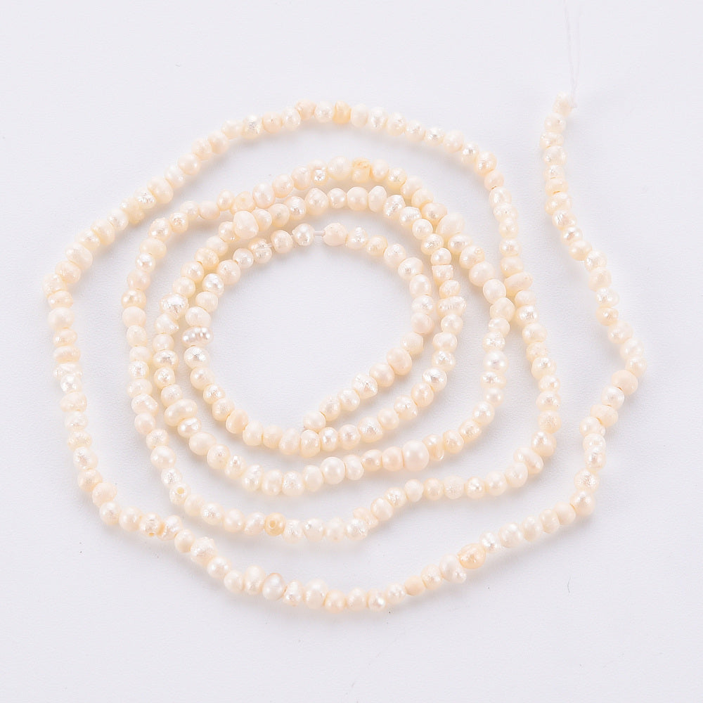 Freshwater Pearl Beads - 142 beads per strand