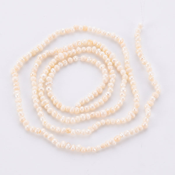 Freshwater Pearl Beads - 142 beads per strand