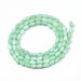 Freshwater Dyed Shell Beads  - Aquamarine