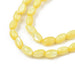 Freshwater Dyed Shell Beads  - Yellow