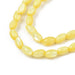 Freshwater Dyed Shell Beads  - Yellow