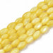 Freshwater Dyed Shell Beads  - Yellow