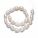 Freshwater Pearl Beads - 21 beads