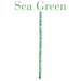 Shell Seed Beads