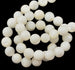 Mother of Pearl Shell Beads - 3mm