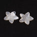 Natural White Mother of Pearl Flower