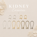 Kidney Earwires
