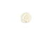 Small Shell Flower Bead
