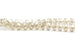 Kerrie Berrie 10mm x 6mm Faceted Crystal Glass Beads in Champagne Cream