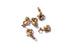 12mm Gold Lobster Clasp and Jump Rings Sets (5pcs)