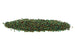 Higher Metallic Iris (Iridescent Green) Seed Beads for Beading and Jewellery Making – SIZE 15 / 10g