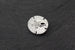 Silver-plated Tierracast Sand Dollar Button – 17mm