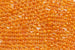 Burnt Orange Lined (Iridescent Honey) Seed Beads for Jewellery Making – SIZE 8 / 10g