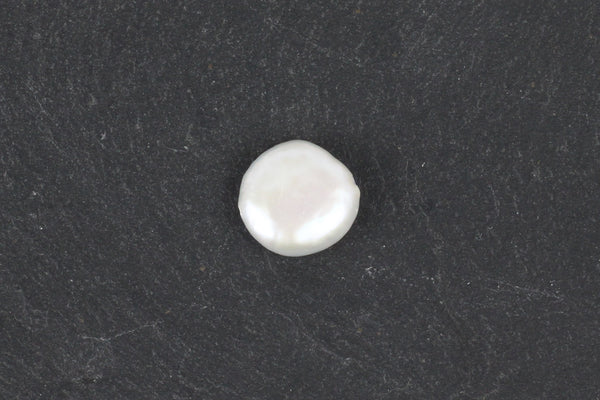 Large Freshwater Pearl Disc Bead