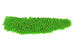 Kerrie Berrie Size 8 Seed Beads for Jewellery Making With UK Delivery in  Bright Green Foil