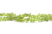 Kerrie Berrie Semi Precious Olivine Chip Beads Strand