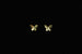 Kerrie Berrie Sterling Silver Gold Plated Butterfly Stud Earrings