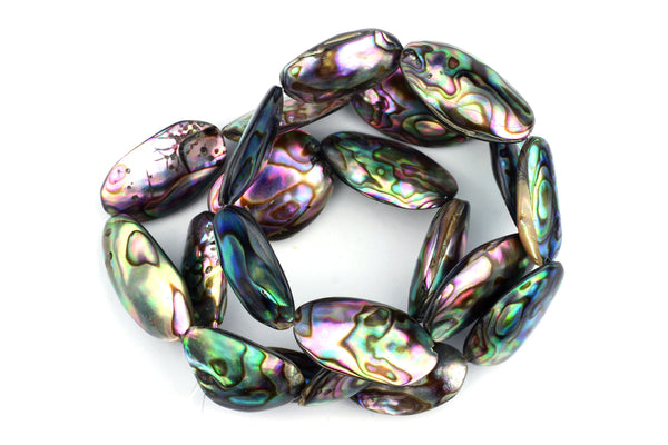 Kerrie Berrie Semi Precious Abalone Beads Strand for Jewellery Making