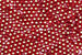 Kerrie Berrie UK Seed Beads for Jewellery Making in Red Foil