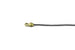 Kerrie Berrie Clam Shell Cord End for Jewellery Making