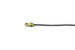 Kerrie Berrie Clam Shell Cord End for Jewellery Making