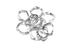 *50% OFF* Irregular Acrylic Ring Link – Clear/Black 28mm x 35mm (10pcs)
